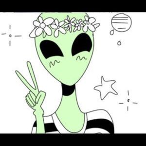 Meet your Posher, Dani